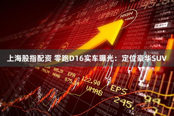 上海股指配资 零跑D16实车曝光:定位豪华SUV