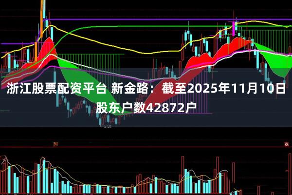 浙江股票配资平台 新金路：截至2025年11月10日股东户数42872户